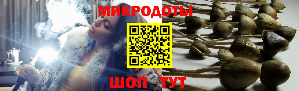 Галлюциногенные грибы GOLDEN TEACHER  Псилоцибиновые грибы Psilocybe  Ликино-Дулёво  Вход с VPN 